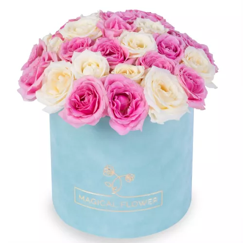 25 разноцветных роз premium в шляпной бархатной коробке