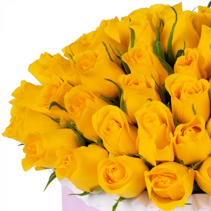 51 желтая роза в розовой шляпной коробке