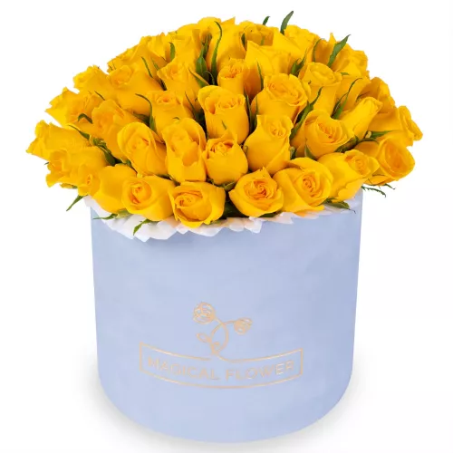 51 желтая роза в серой бархатной шляпной коробке