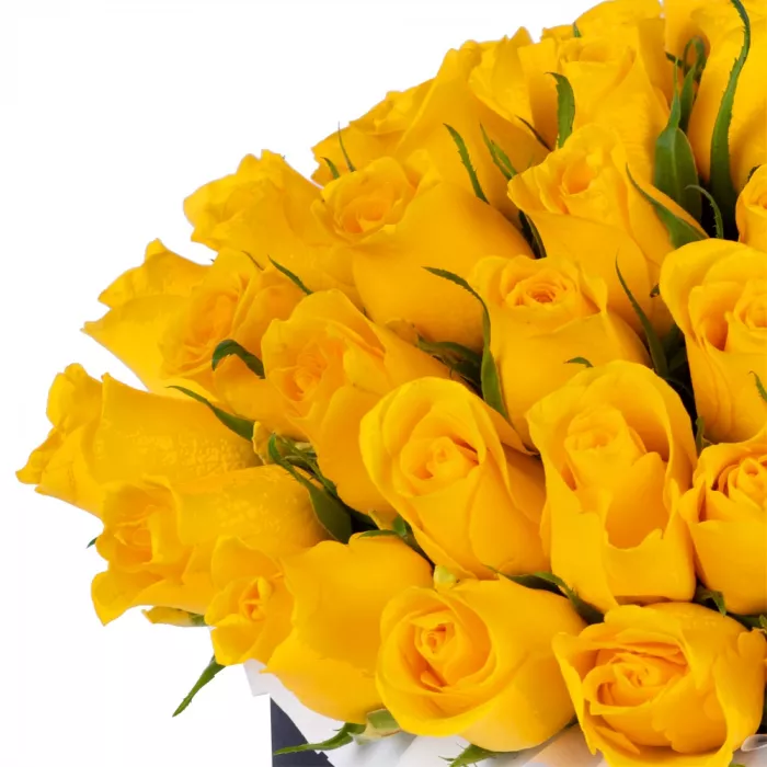 51 желтая роза в черной шляпной коробке