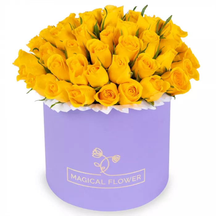 51 желтая роза в фиолетовой шляпной коробке