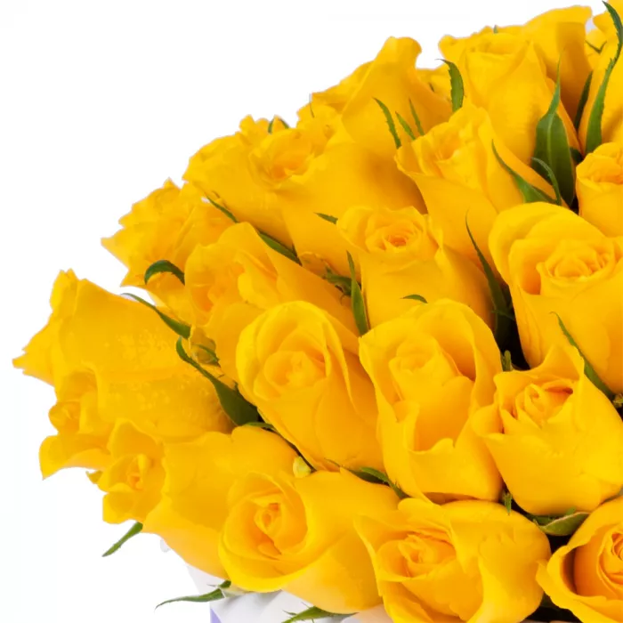 51 желтая роза в фиолетовой шляпной коробке