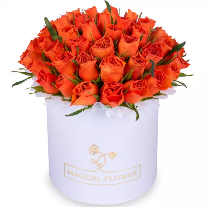 51 оранжевая роза в белой шляпной коробке 51 оранжевая роза в белой шляпной коробке