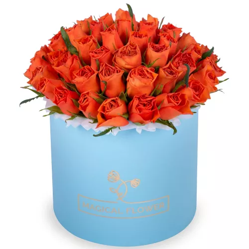 51 оранжевая роза в голубой шляпной коробке