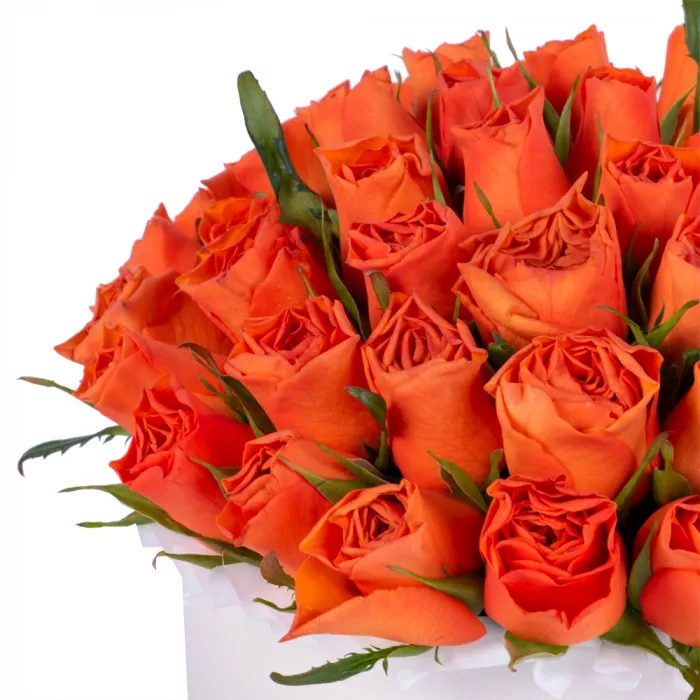 51 оранжевая роза в кремовой шляпной коробке