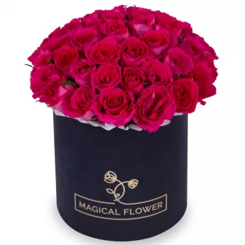 51 малиновая роза в черной шляпной коробке
