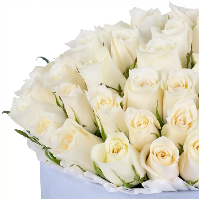 51 белая роза в серой бархатной шляпной коробке