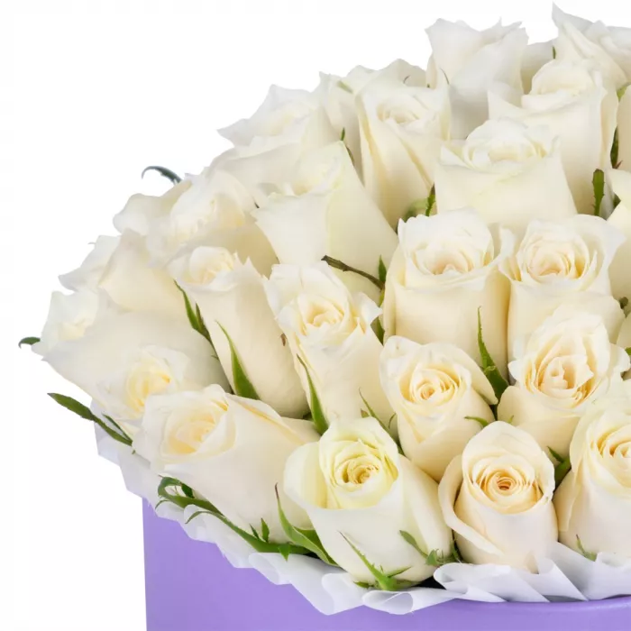 51 белая роза в фиолетовой шляпной коробке