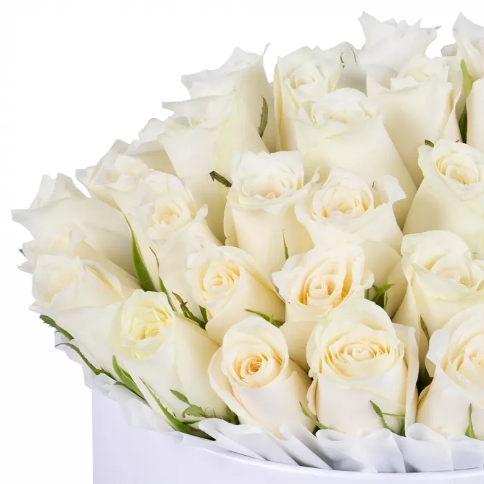 51 белая роза в кремовой шляпной коробке