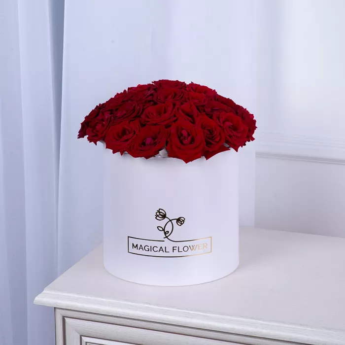25 роз красных premium в шляпной белой коробке