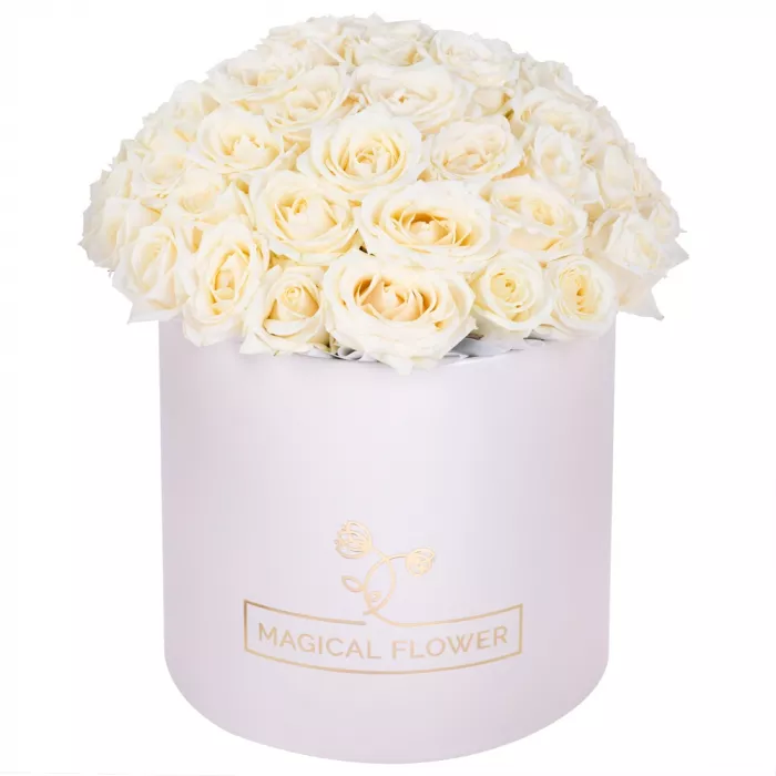 Букет из 51 белой розы premium в кремовой шляпной коробке