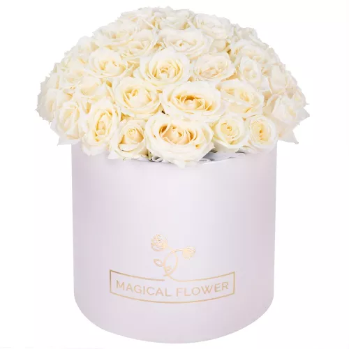 Букет из 51 белой розы premium в кремовой шляпной коробке