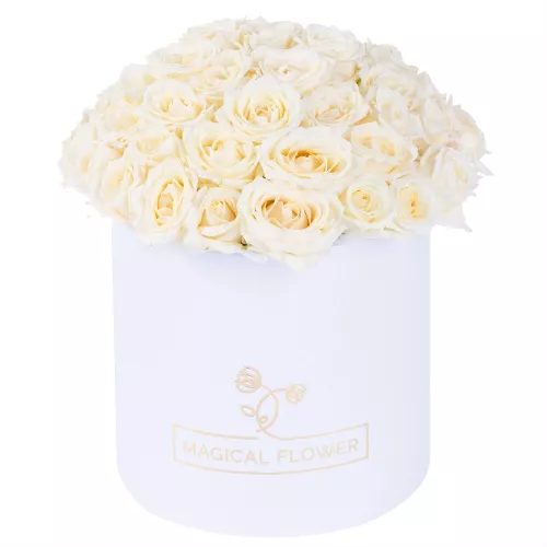 Букет из 51 белой розы premium в белой шляпной коробке