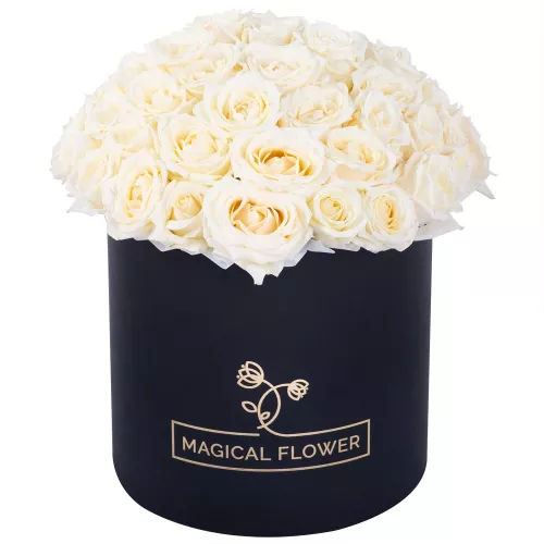 Букет из 51 белой розы premium в черной шляпной коробке