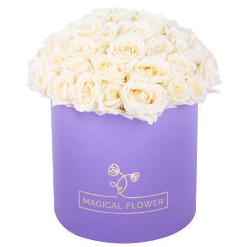 Букет из 51 белой розы premium в фиолетовой шляпной коробке