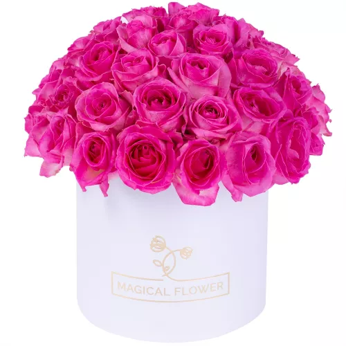 Букет из 51 малиновой розы premium в белой шляпной коробке