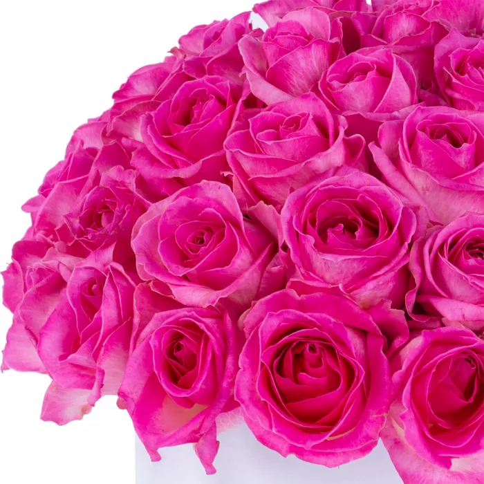 Букет из 51 малиновой розы premium в белой шляпной коробке