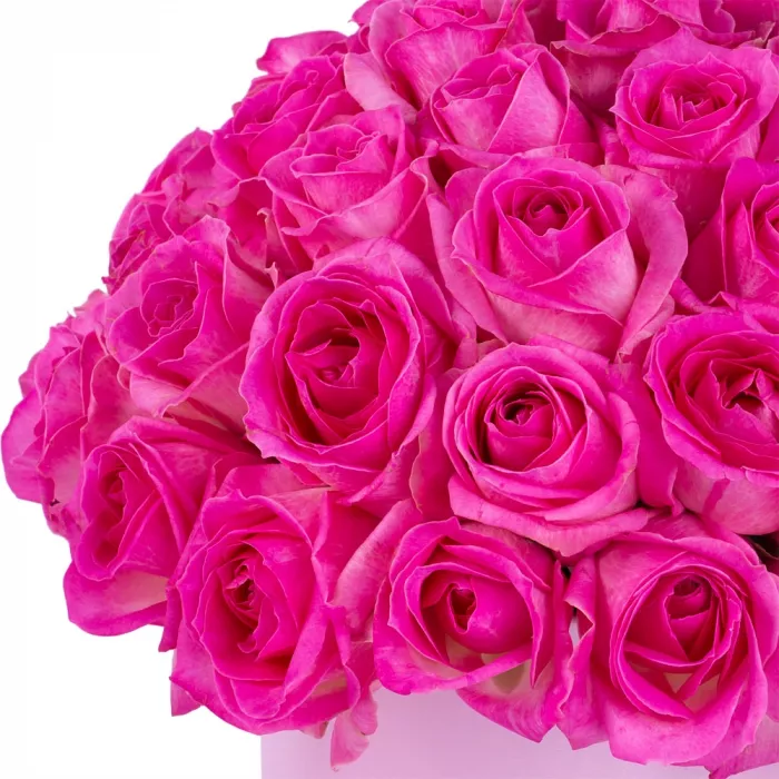 Букет из 51 малиновой розы premium в розовой шляпной коробке