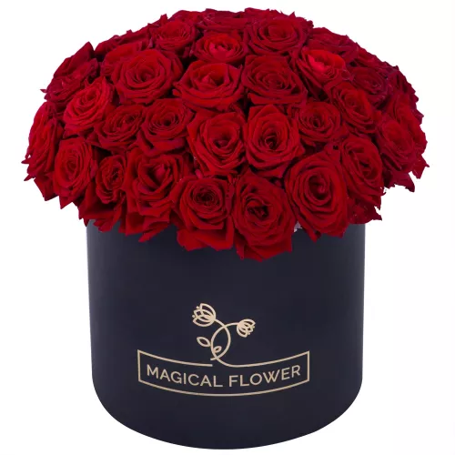 Букет из 51 красной розы premium в черной шляпной коробке