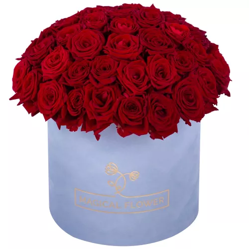 Букет из 51 красной розы premium в серой бархатной шляпной коробке