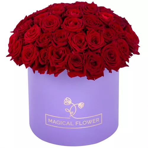Букет из 51 красной розы premium в фиолетовой шляпной коробке