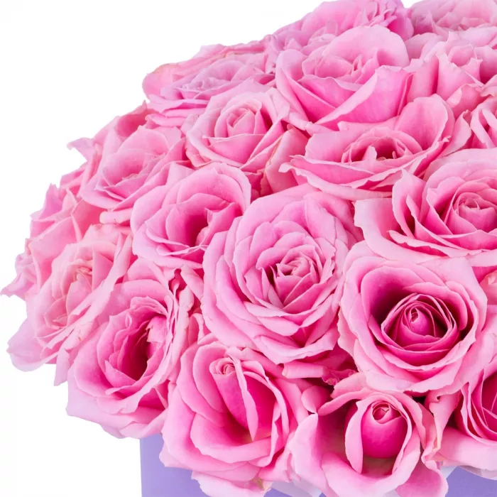 Букет из 51 розовой розы premium в фиолетовой шляпной коробке