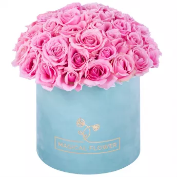 Букет из 51 розовой розы premium в бархатной шляпной коробке