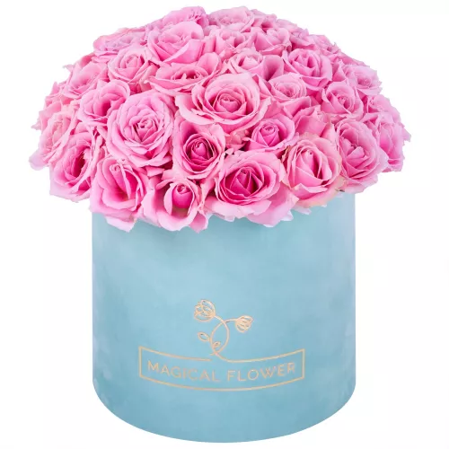 Букет из 51 розовой розы premium в бархатной шляпной коробке