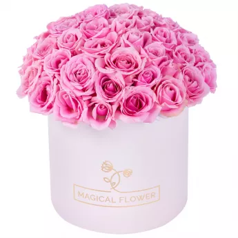 Букет из 51 розовой розы premium в кремовой шляпной коробке