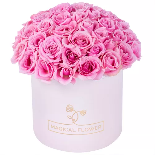 Букет из 51 розовой розы premium в кремовой шляпной коробке