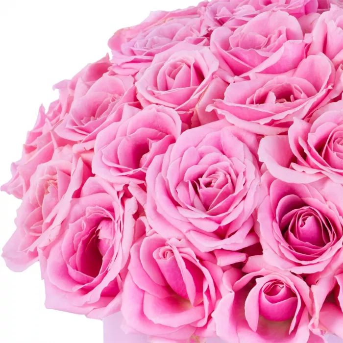 Букет из 51 розовой розы premium в розовой шляпной коробке