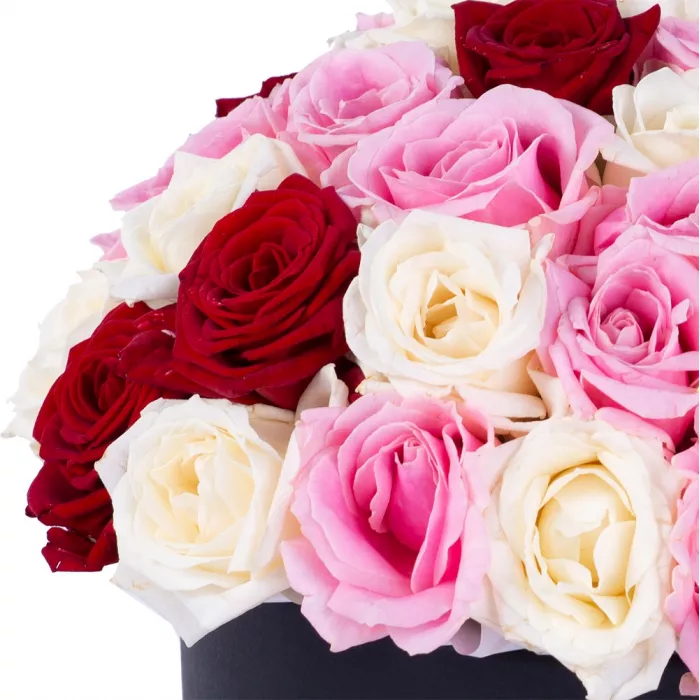 Букет из 51 разноцветной розы premium в черной шляпной коробке Букет из 51 разноцветной розы premium в черной шляпной коробке