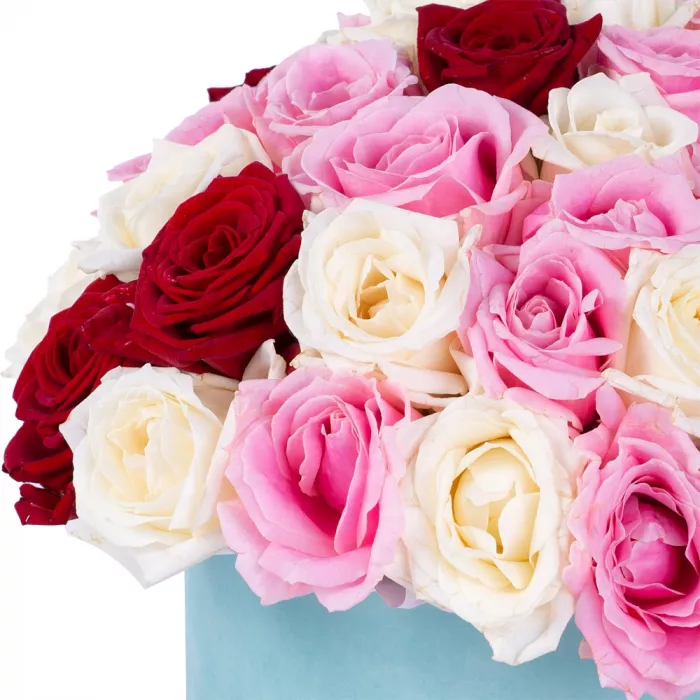 Букет из 51 разноцветной розы premium в бархатной шляпной коробке