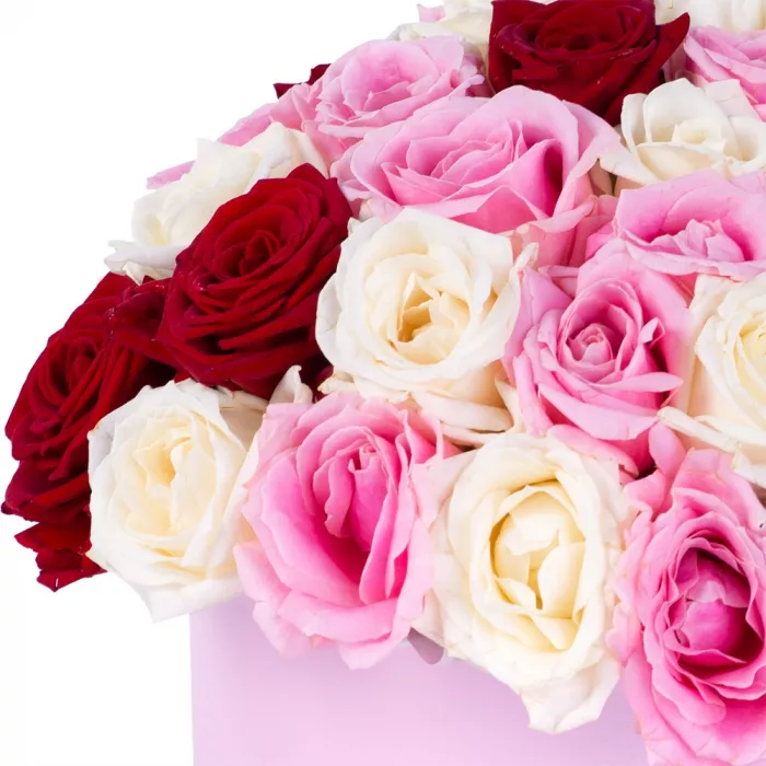 Букет из 51 разноцветной розы premium в розовой шляпной коробке