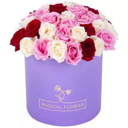 Букет из 51 разноцветной розы premium в фиолетовой шляпной коробке