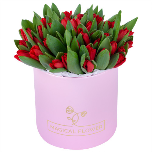 51 красный тюльпан в розовой шляпной коробке