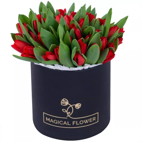 51 красный тюльпан в черной шляпной коробке