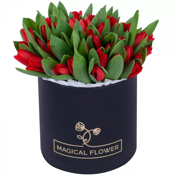 51 красный тюльпан в черной шляпной коробке