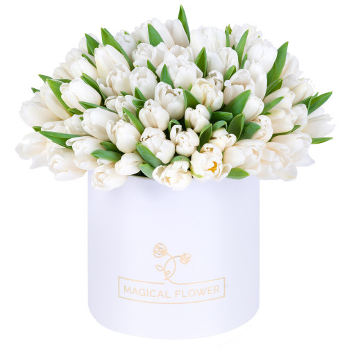 101 белый тюльпан в белой шляпной коробке