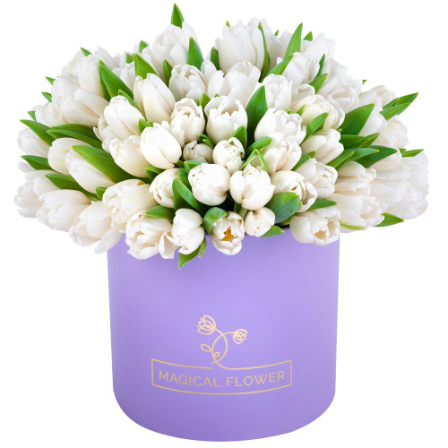 51 белый тюльпан в фиолетовой шляпной коробке