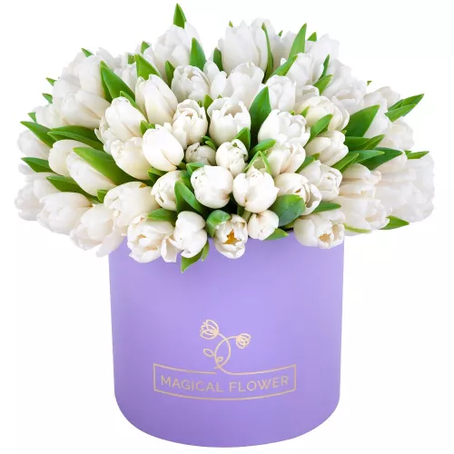 101 белый тюльпан в фиолетовой шляпной коробке