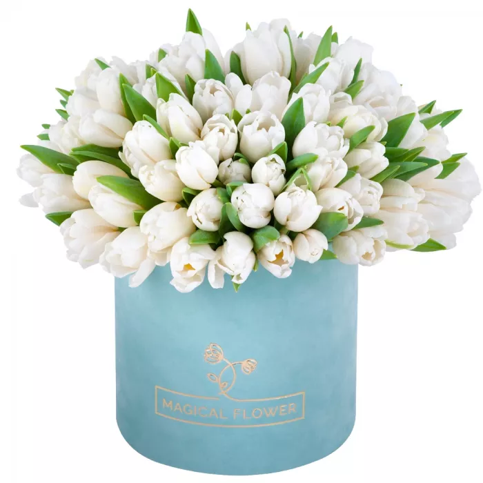 51 белый тюльпан в бархатной шляпной коробке