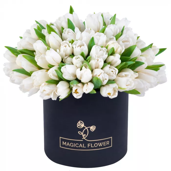 101 белый тюльпан в черной шляпной коробке