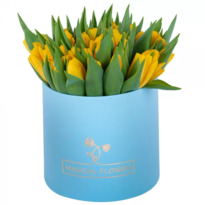 51 желтый тюльпан в голубой шляпной коробке
