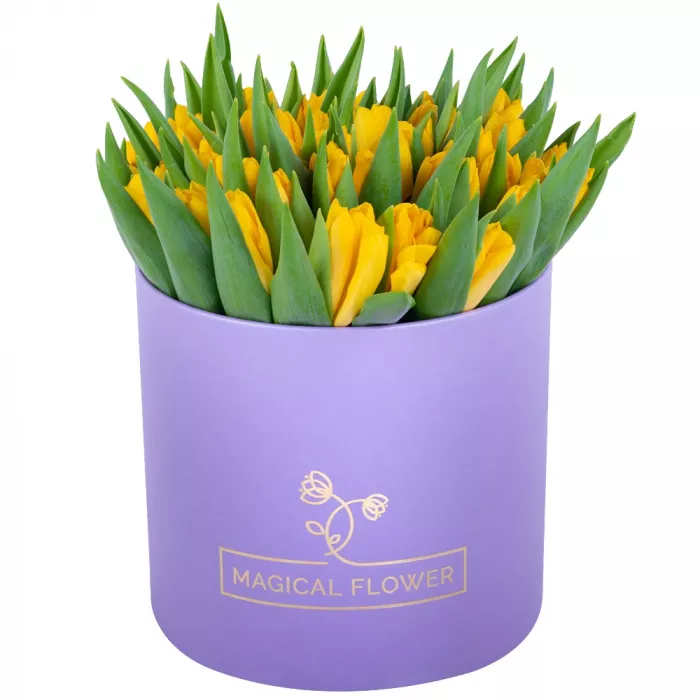51 желтый тюльпан в фиолетовой шляпной коробке