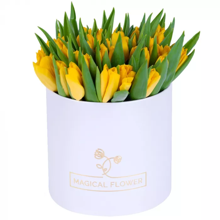 51 желтый тюльпан в белой шляпной коробке