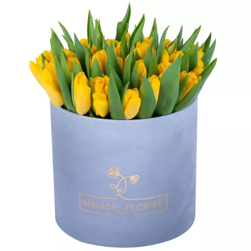 51 желтый тюльпан в серой бархатной шляпной коробке
