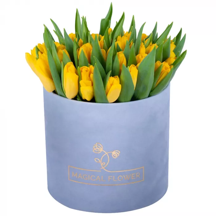 51 желтый тюльпан в серой бархатной шляпной коробке