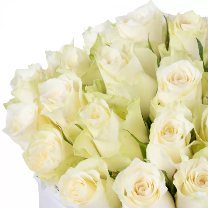 25 белых роз в белой шляпной коробке