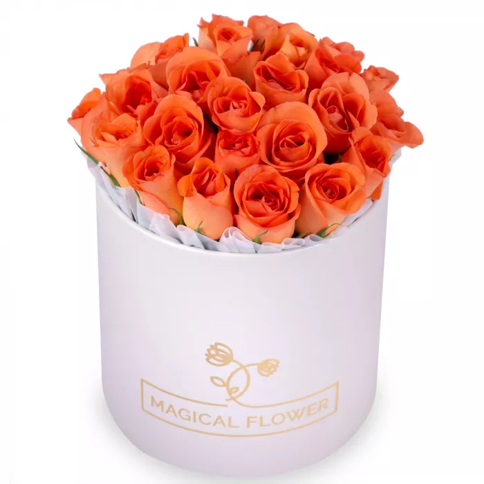 25 оранжевых роз в кремовой шляпной коробке
